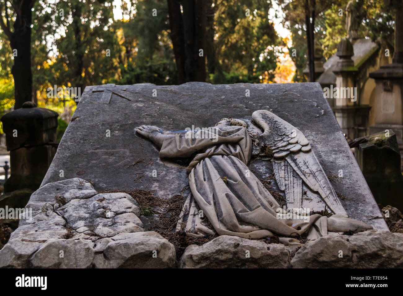 Grabstein mit bas-relief in Form eines Engels auf dem Montjuic Friedhof closeup, Barcelona, Katalonien, Spanien Stockfoto