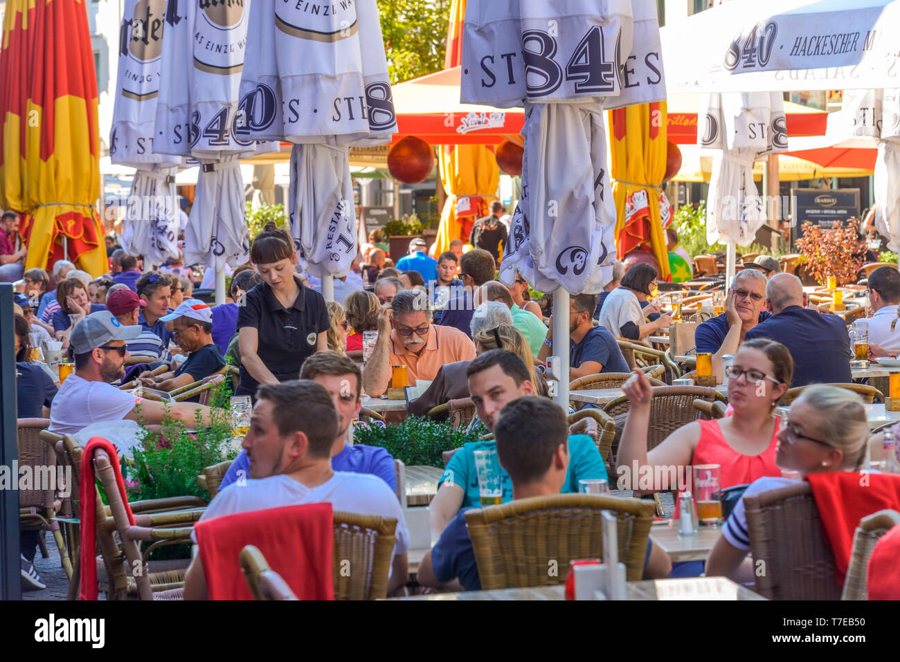 Hackescher Markt, Mitte, Berlin, Deutschland Stockfoto