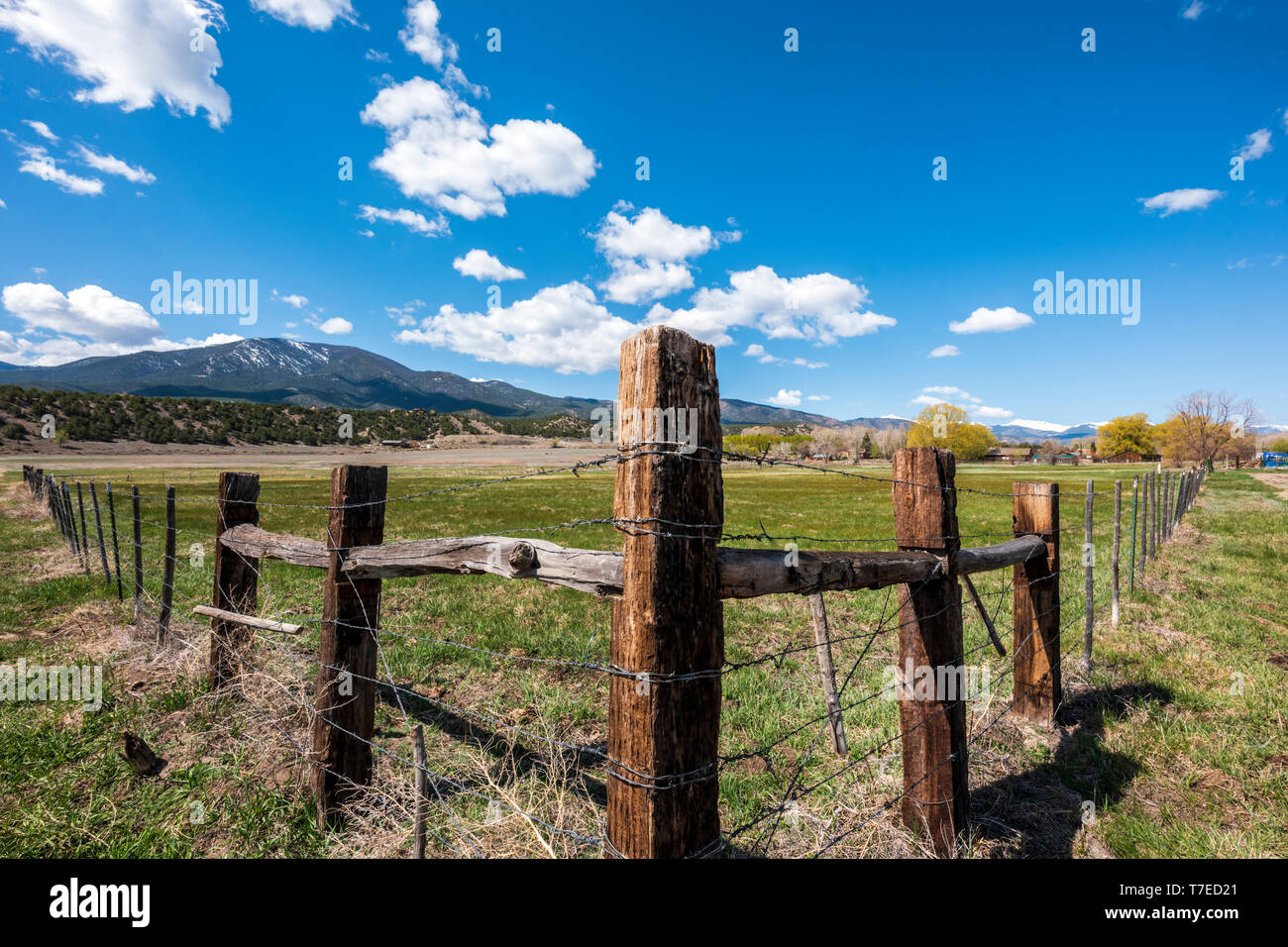 Stacheldraht und Holzzaun Beiträge Grenze ranch Weide; Vandaveer Ranch; Salida, Colorado, USA Stockfoto