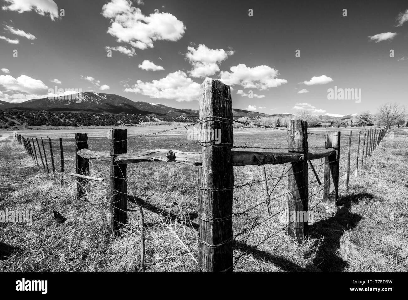 Schwarz & Weiß von Stacheldraht und Holzzaun Beiträge Grenze ranch Weide; Vandaveer Ranch; Salida, Colorado, USA Stockfoto