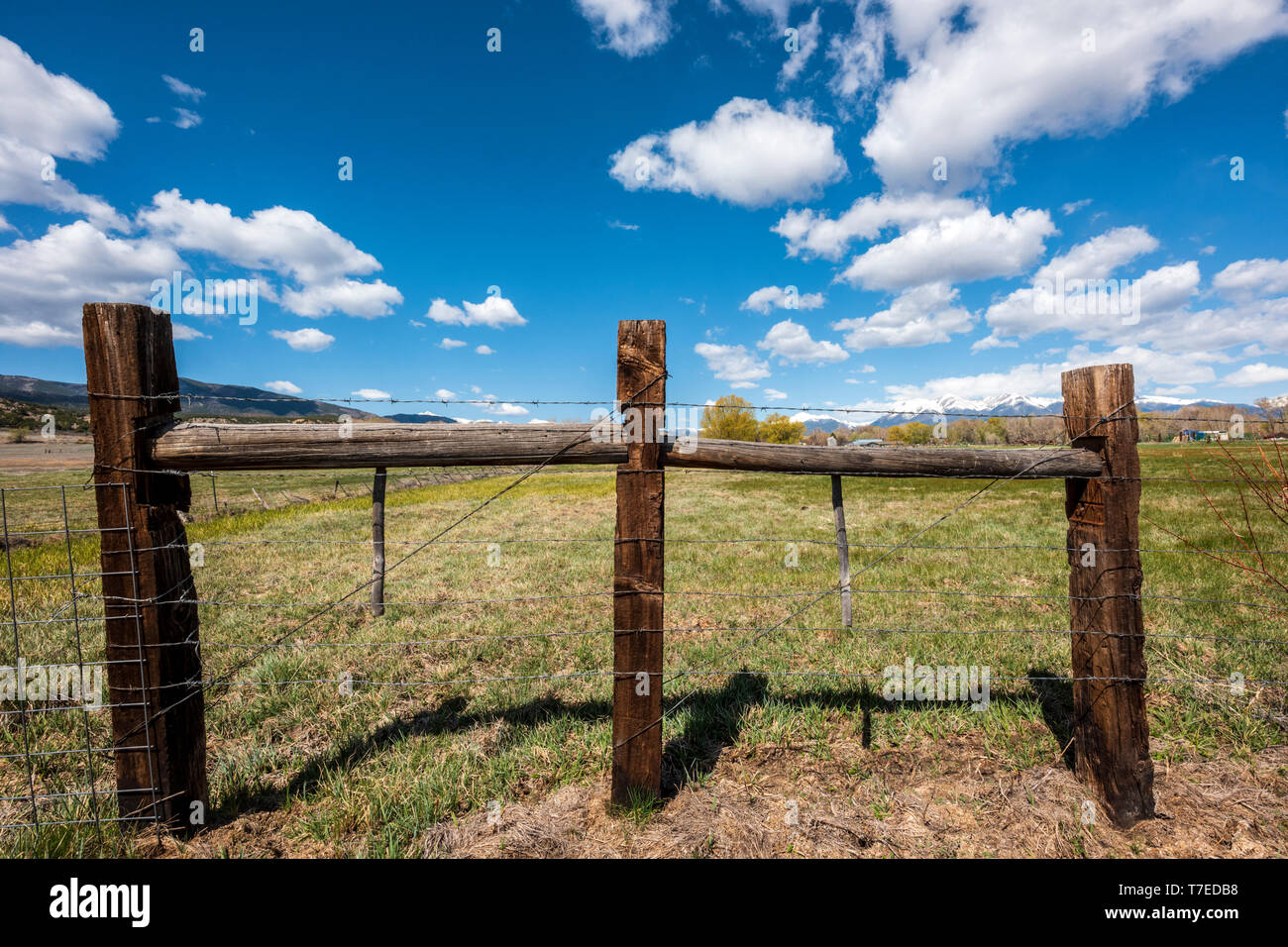 Stacheldraht und Holzzaun Beiträge Grenze ranch Weide; Vandaveer Ranch; Salida, Colorado, USA Stockfoto