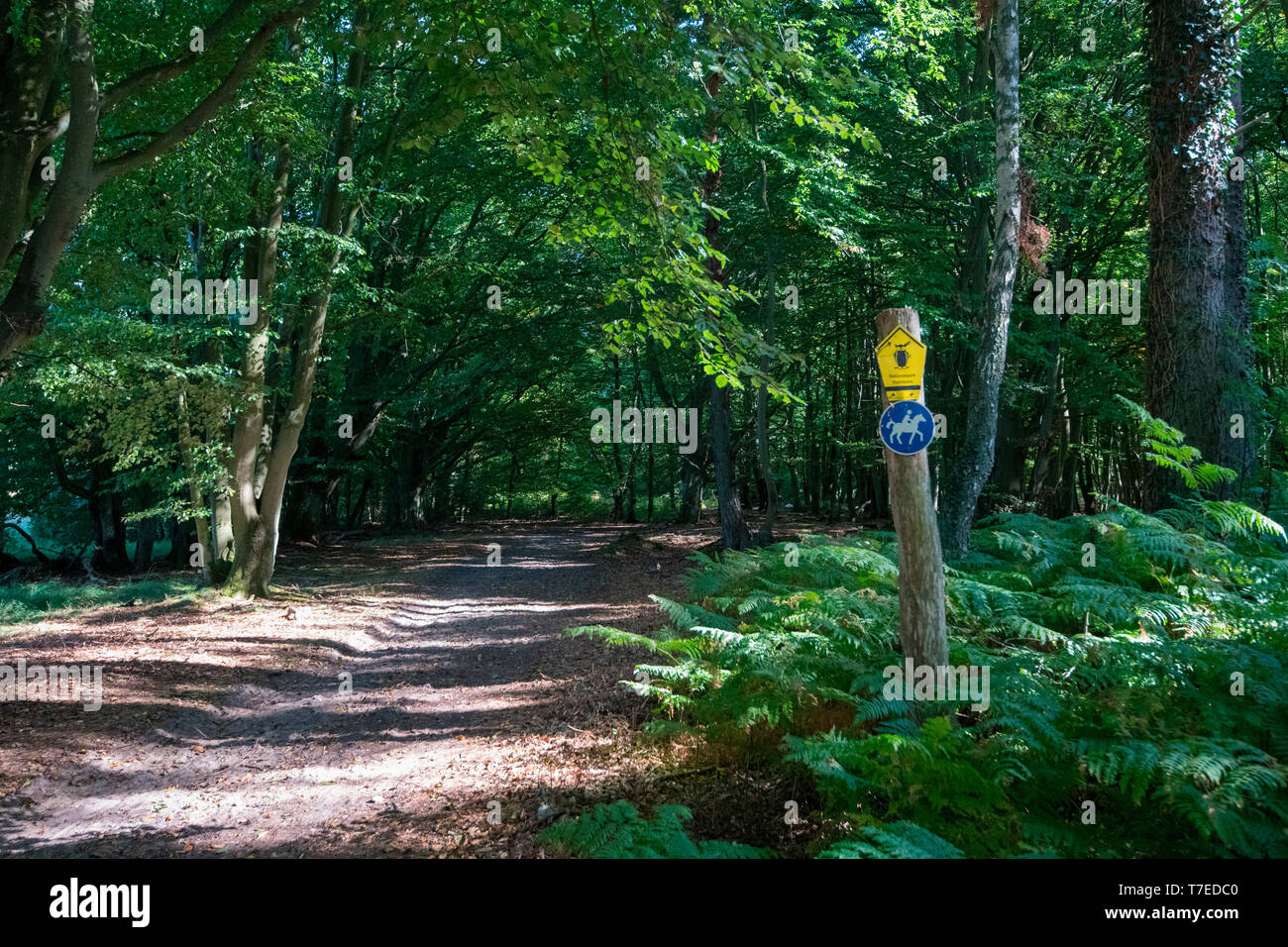 Zeichen National Park Central Zone, Nationalpark Vorpommersche Boddenlandschaft, Fischland-Darß-Zingst, Mecklenburg-Vorpommern, Deutschland, Europa Stockfoto