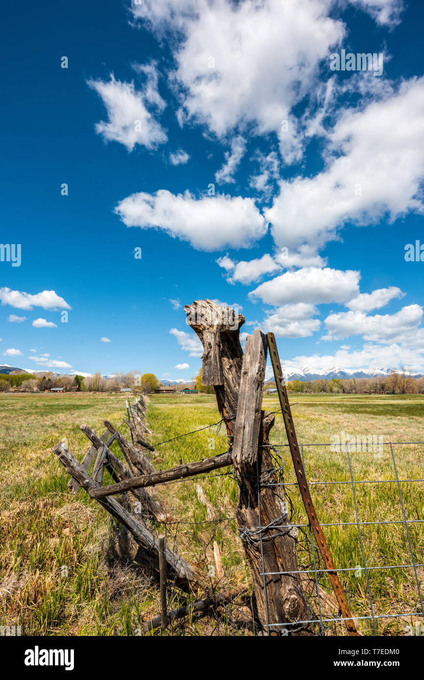 Stacheldraht und Holzzaun Beiträge Grenze ranch Weide; Vandaveer Ranch; Salida, Colorado, USA Stockfoto