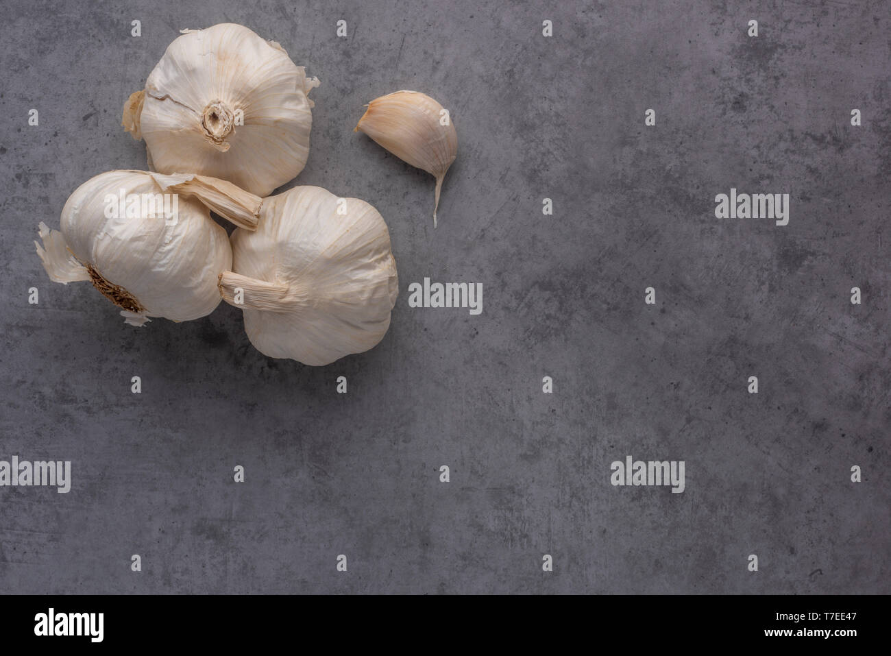 Knoblauch Zwiebeln und Knoblauchzehe auf Zement Hintergrund von oben gesehen. Stockfoto