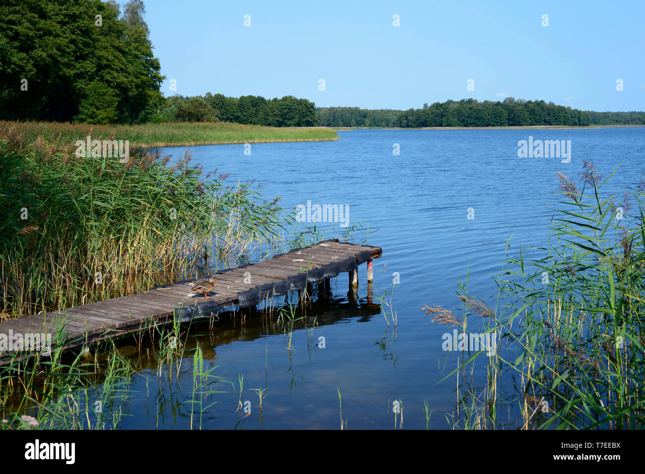 Elixir Camp, See Kisajno, Wrony, Ermland Masuren, Polen Stockfoto