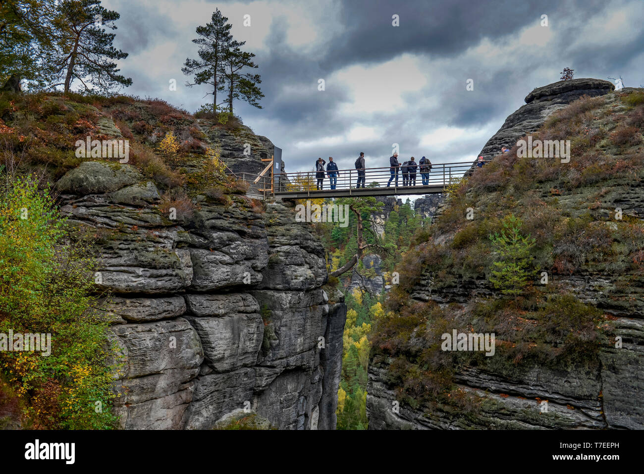Burgruine Felsenburg Neurathen, Rathen, Nationalpark saechsischen Schweiz, Sachsen, Deutschland Stockfoto