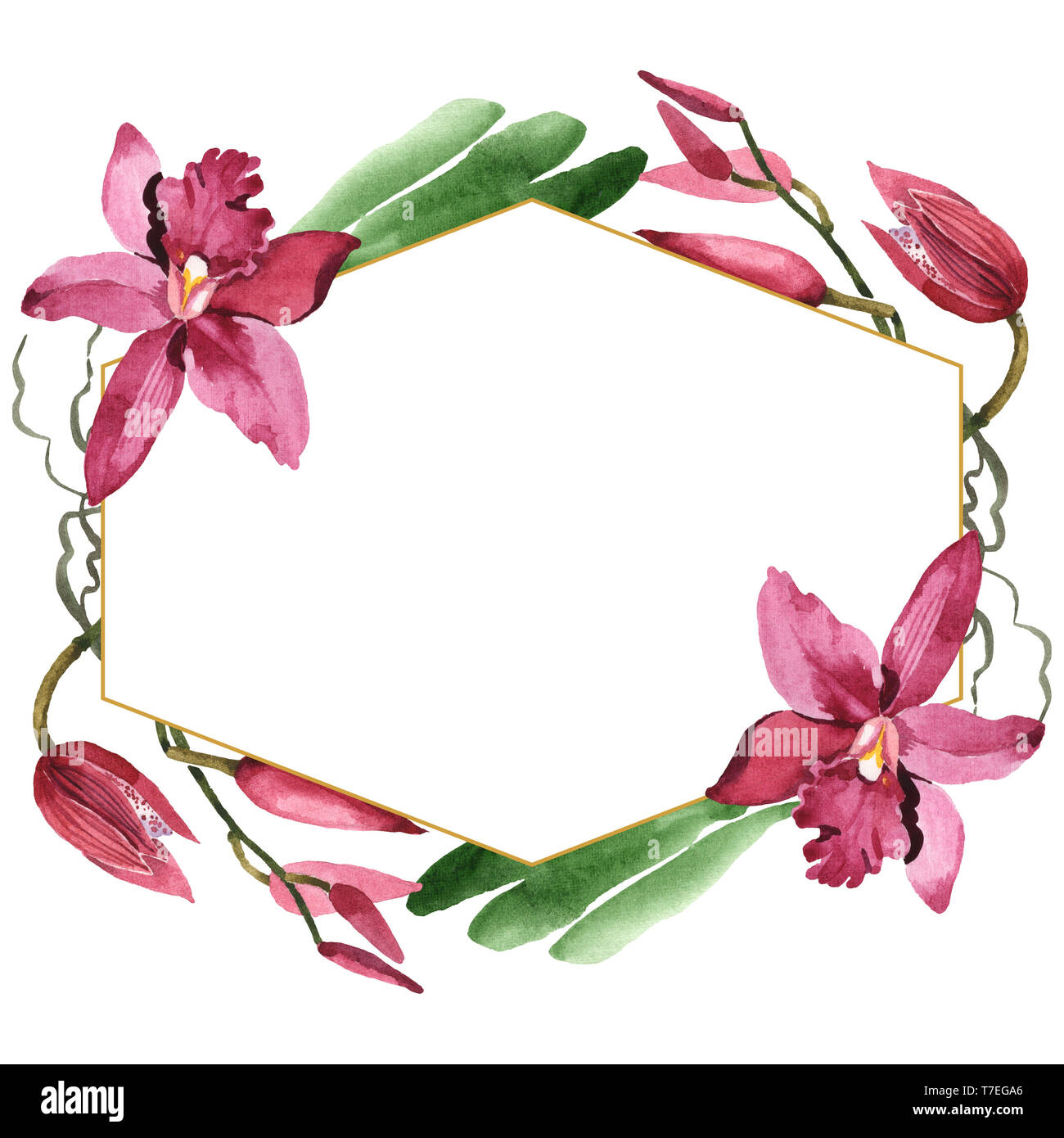 Marsala Orchidee Blumen botanischen Blumen. Wild Federblatt wildflower isoliert. Aquarell Hintergrund Abbildung. Aquarell Zeichnung Mode aqu Stockfoto