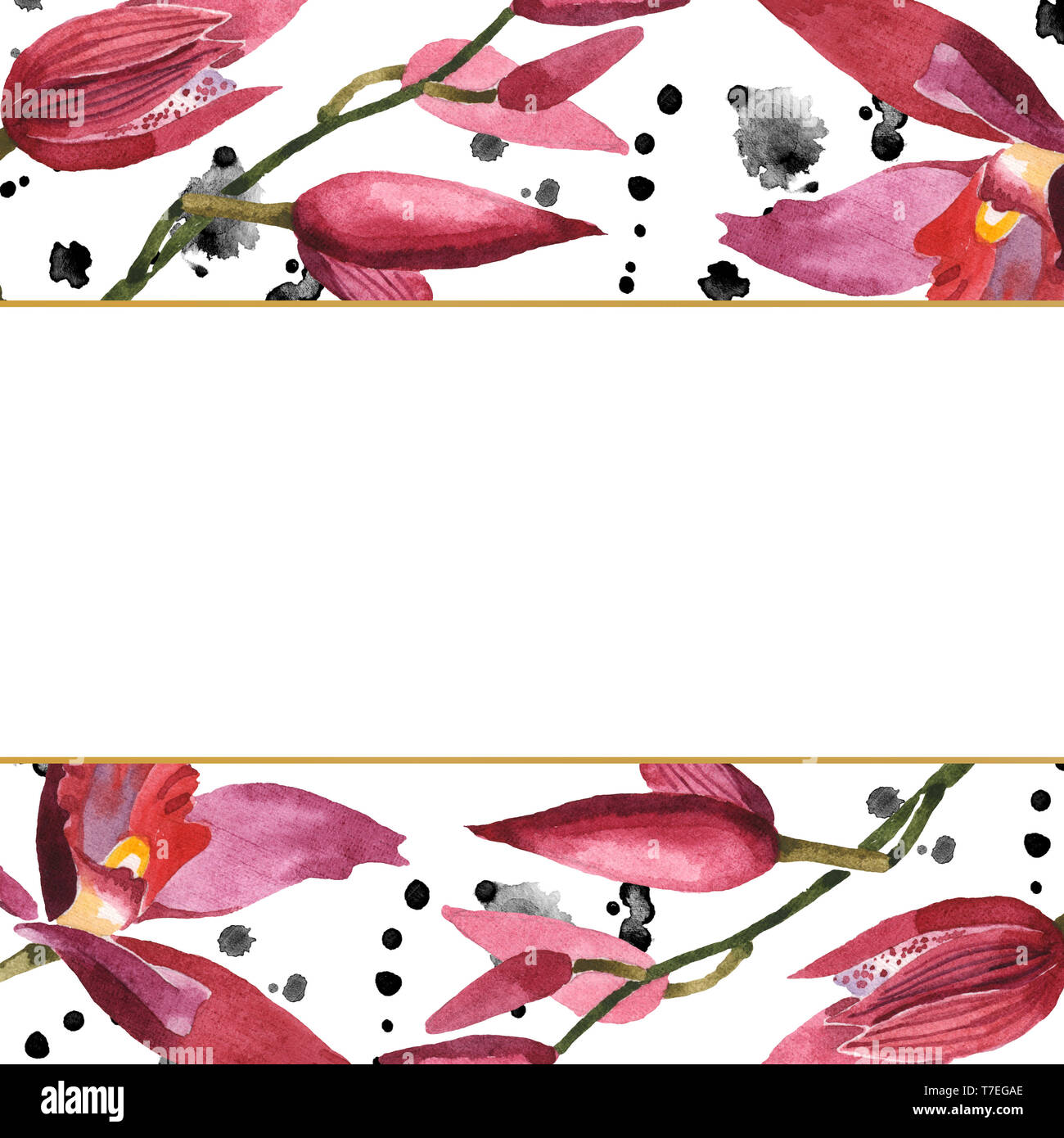 Marsala Orchidee Blumen botanischen Blumen. Wild Federblatt wildflower isoliert. Aquarell Hintergrund Abbildung. Aquarell Zeichnung Mode aqu Stockfoto