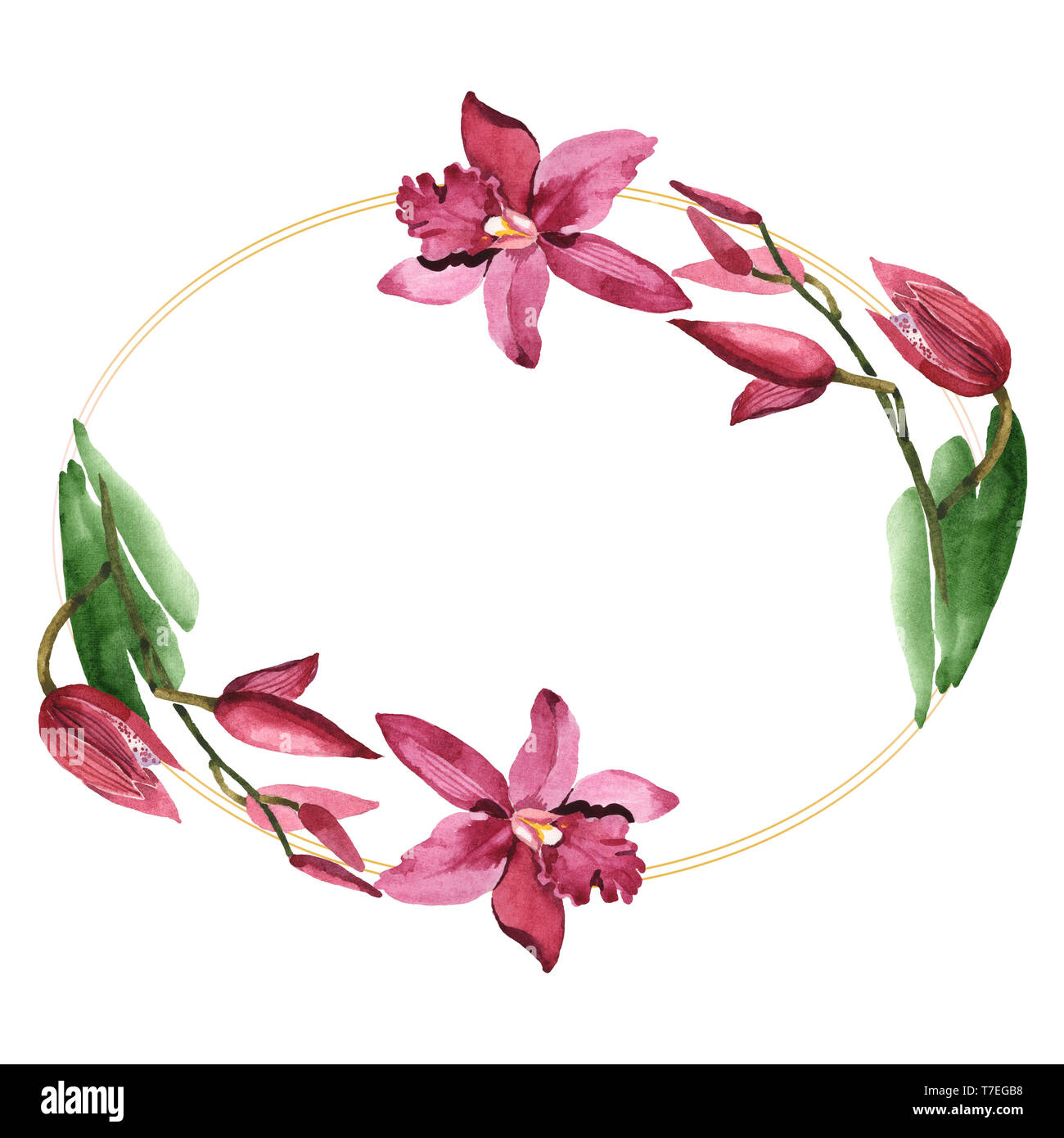 Marsala Orchidee Blumen botanischen Blumen. Wild Federblatt wildflower isoliert. Aquarell Hintergrund Abbildung. Aquarell Zeichnung Mode aqu Stockfoto