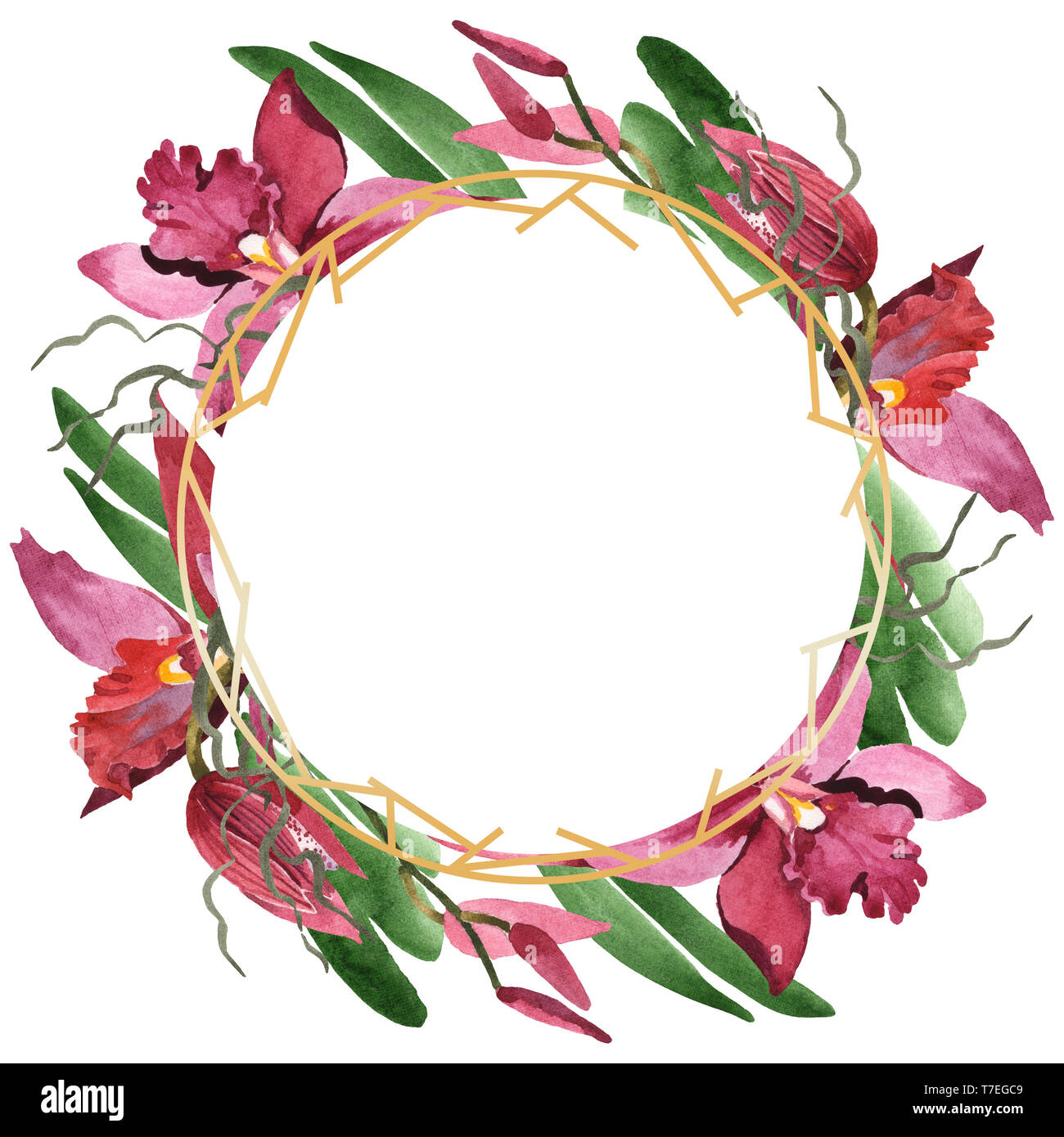 Marsala Orchidee Blumen botanischen Blumen. Wild Federblatt wildflower isoliert. Aquarell Hintergrund Abbildung. Aquarell Zeichnung Mode aqu Stockfoto