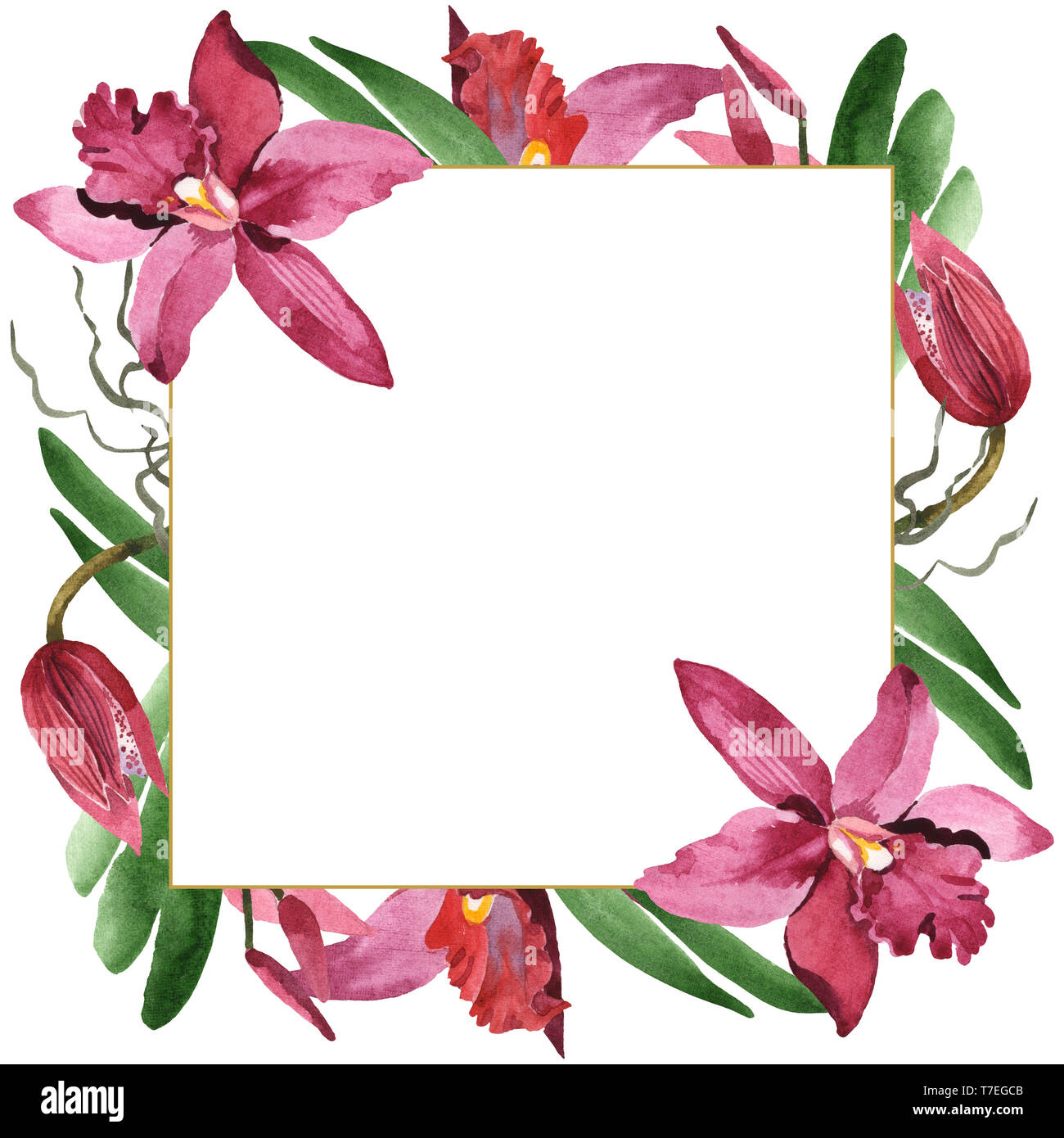 Marsala Orchidee Blumen botanischen Blumen. Wild Federblatt wildflower isoliert. Aquarell Hintergrund Abbildung. Aquarell Zeichnung Mode aqu Stockfoto