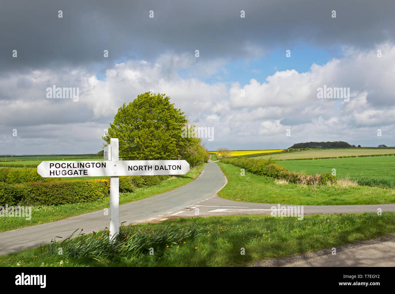 Kreuzung und Schild, in den Yorkshire Wolds, in der Nähe der Huggate, East Yorkshire, England, Großbritannien Stockfoto