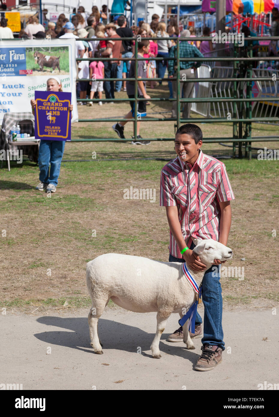 4 H club Junge mit seinem preisgekrönten Lamm, das in der Messe, Langley Whidbey Island, WA, Vereinigte Staaten Stockfoto