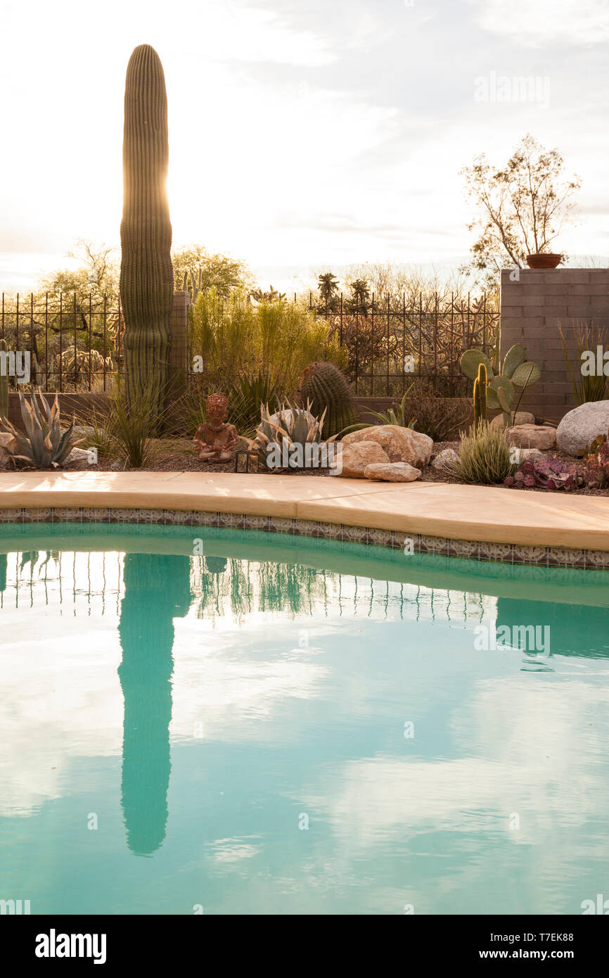 Pool und dürreresistente xeriscape Garten mit Kakteen und sukkulenten Pflanzen in der amerikanischen Wüste Südwesten, Tucson, Arizona, United States Stockfoto