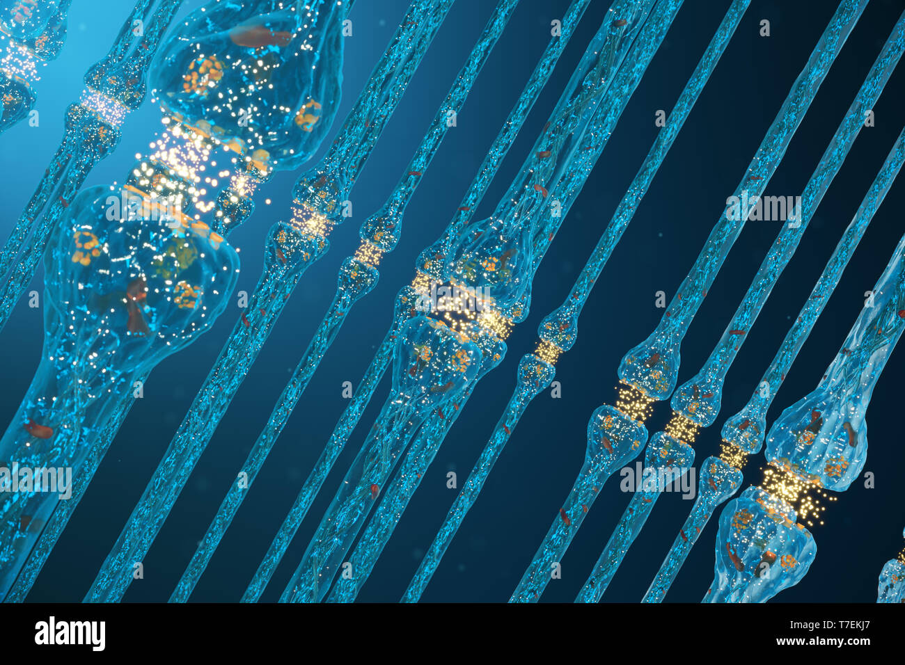 Die synaptische Übertragung, Nervensystem Rezeptoren. Konzept das Bewusstsein. Gehirn Synapsen. Getriebe Synapse, Impulse im Gehirn, Informationen übertragen Stockfoto
