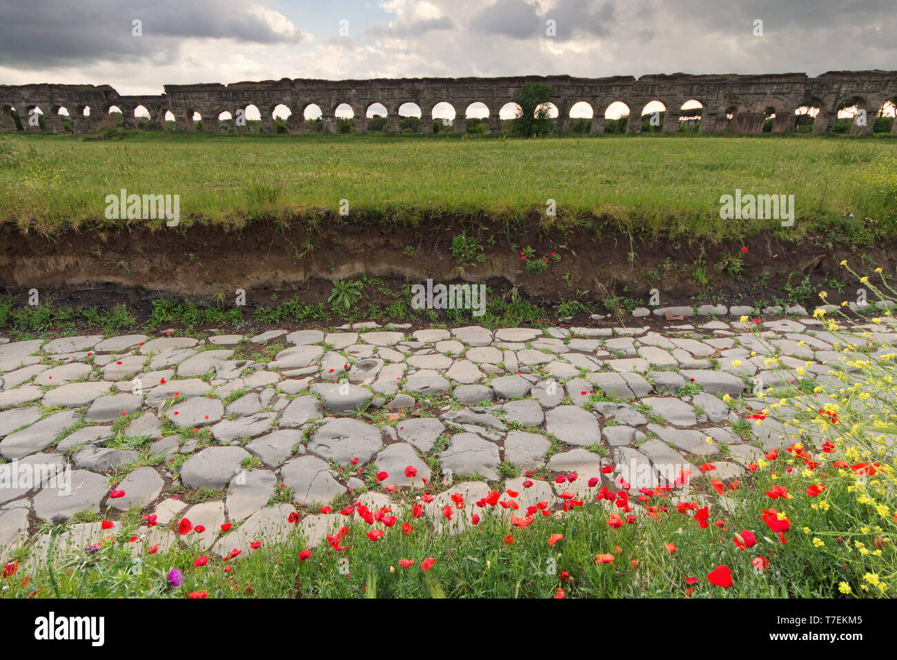 Straßen und Wasserleitungen: die merkwürdigste antike römische öffentliche Arbeiten - über Latina mit Claudian und Anio Novus Aquädukte (Park der Aquädukte) - Rom Stockfoto