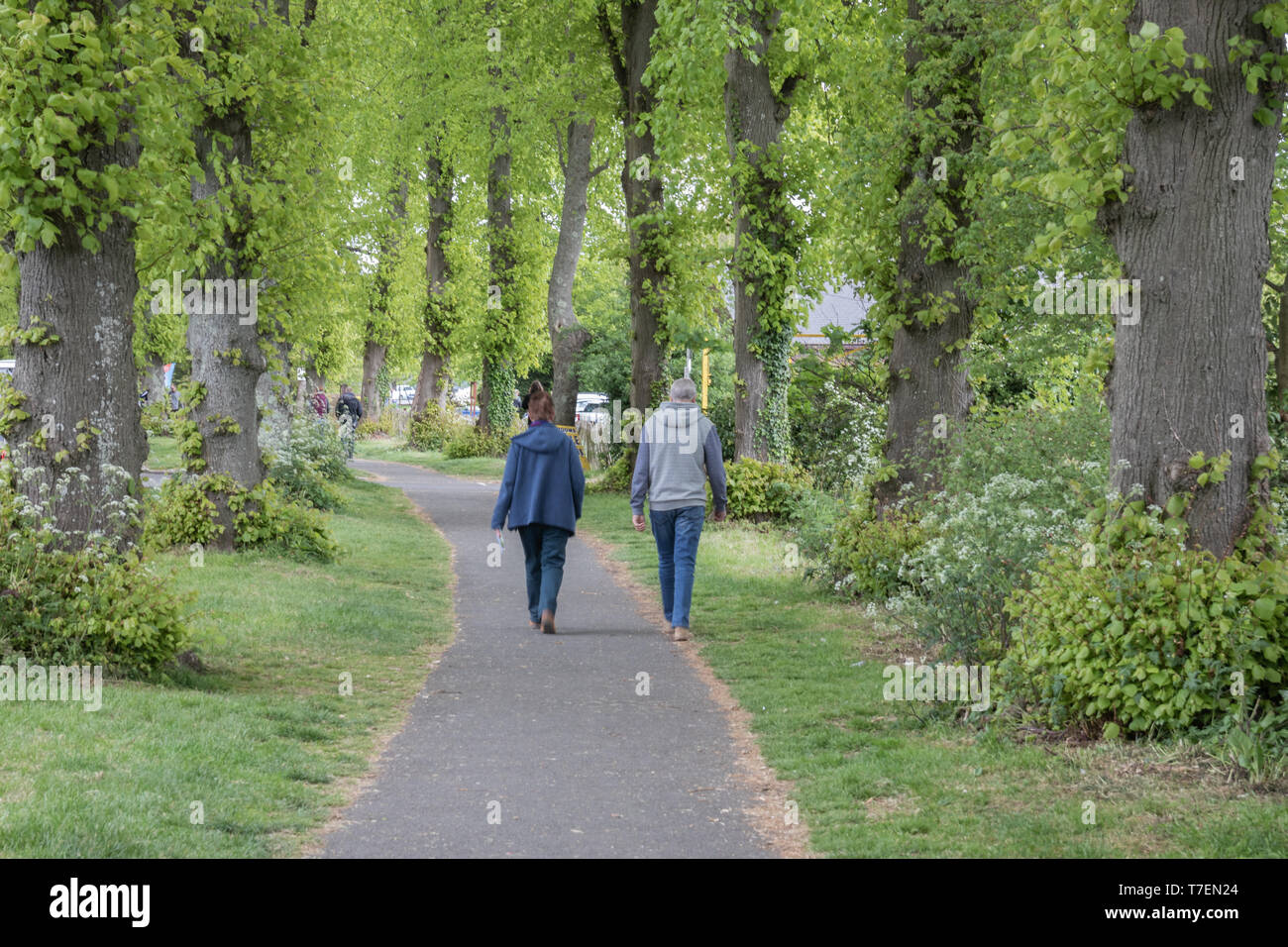 Ein Paar mittleren Alters bei einem Spaziergang im Park zwischen einer Allee von Bäumen Stockfoto