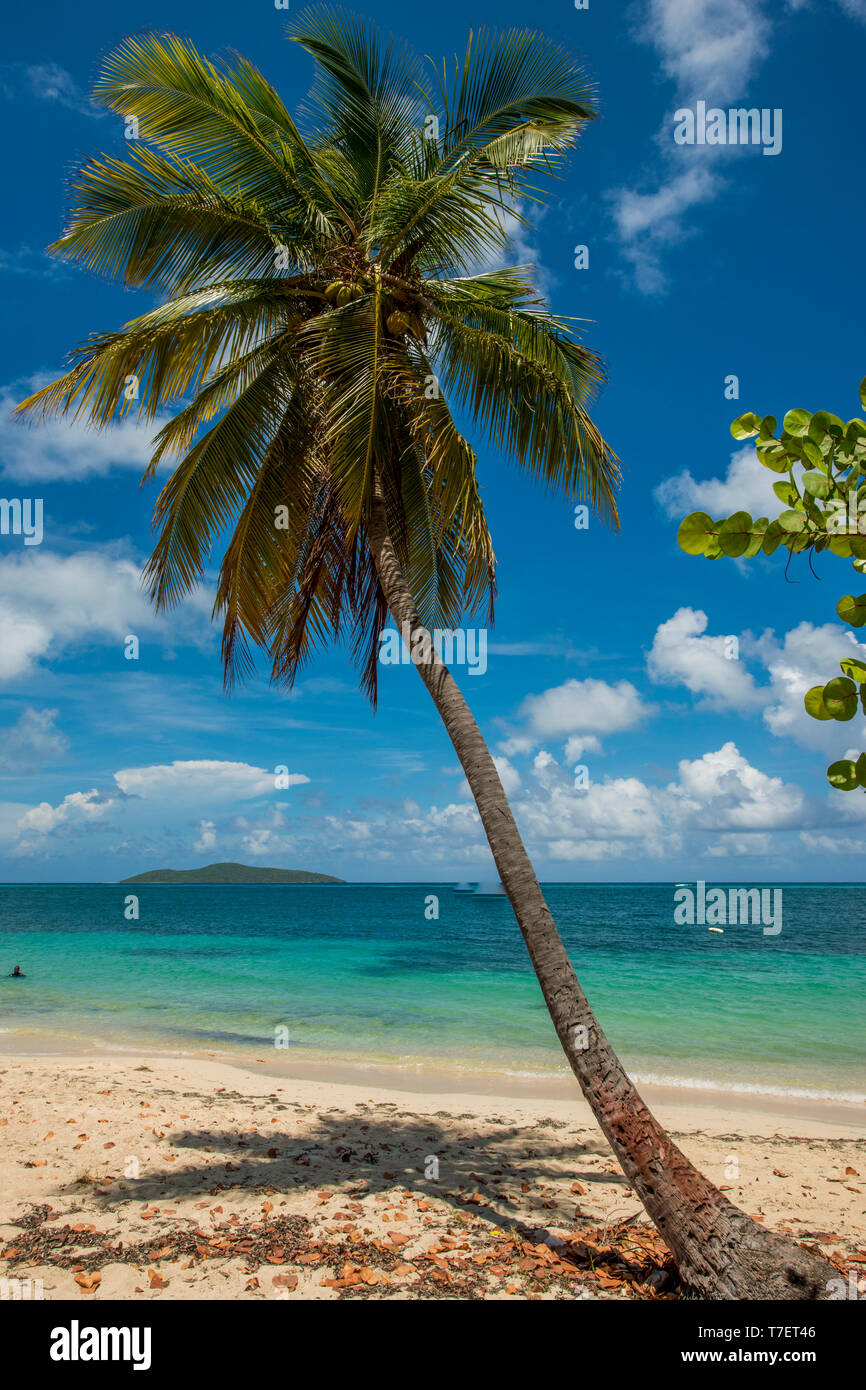 Cramer's Park Beach, St. Croix, US Virgin Islands. Stockfoto