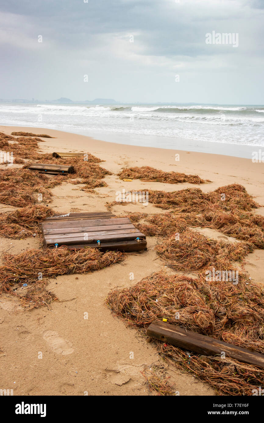 Am Strand von El Pinet, Elche in der Nähe von Alicante in Spanien Stockfoto