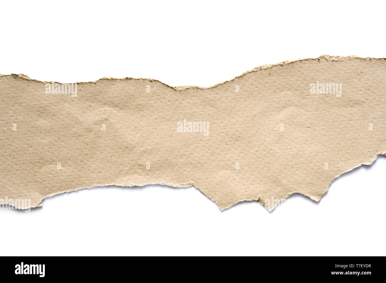 Stück von zerrissenem Papier auf weißem Hintergrund. Stockfoto