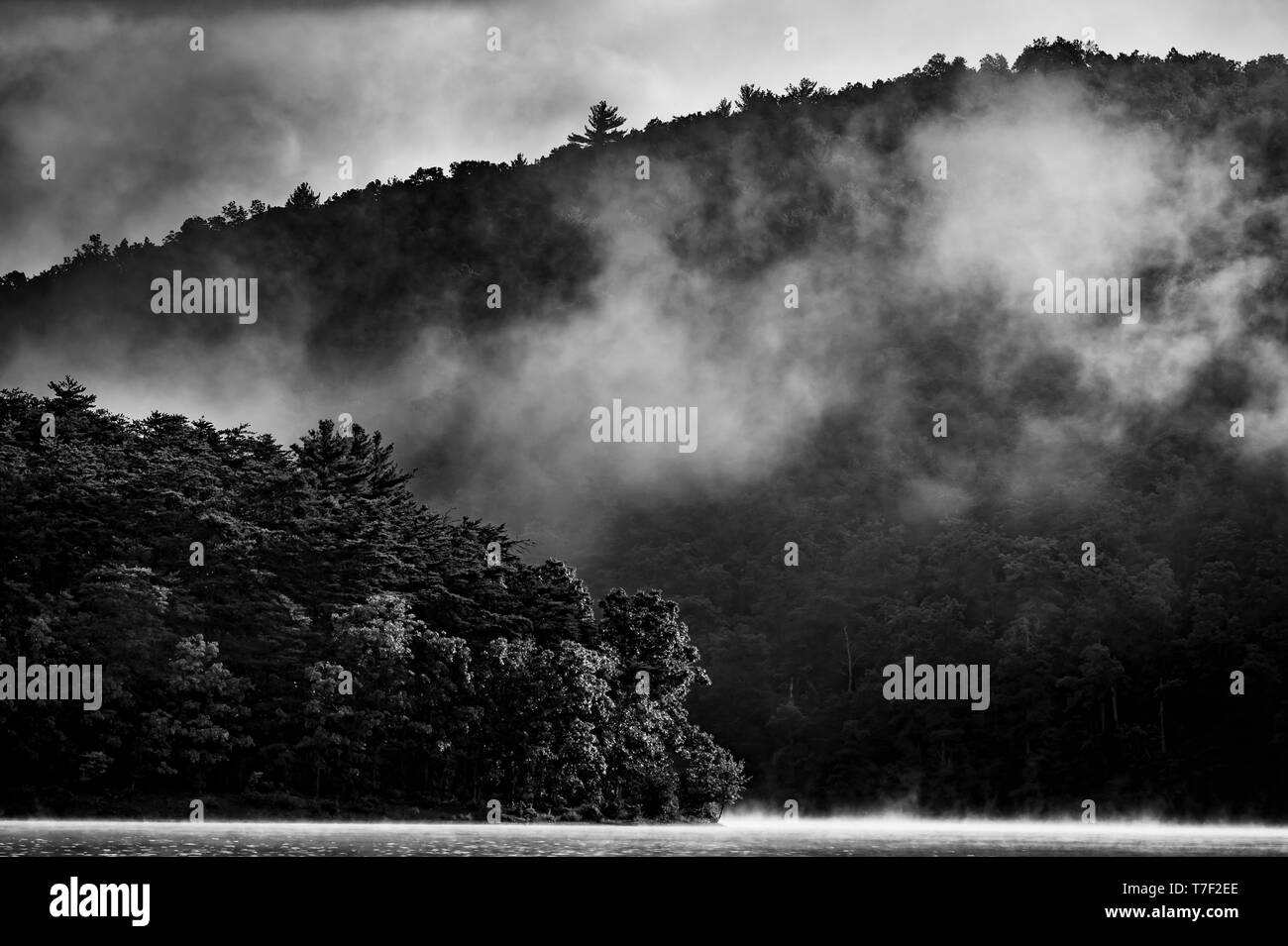 Misty Foggy Mountain Lake Stockfoto