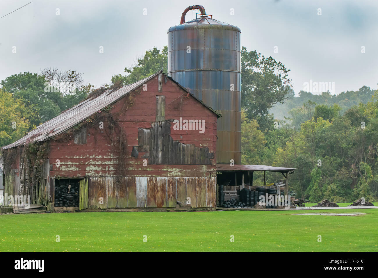 Verfallene Red Barn in einer grünen Weide neben einem alten rostigen Scheune Silo von einem bewaldeten Wald im Süden von Indiana Amerika Heartland umgeben. Stockfoto