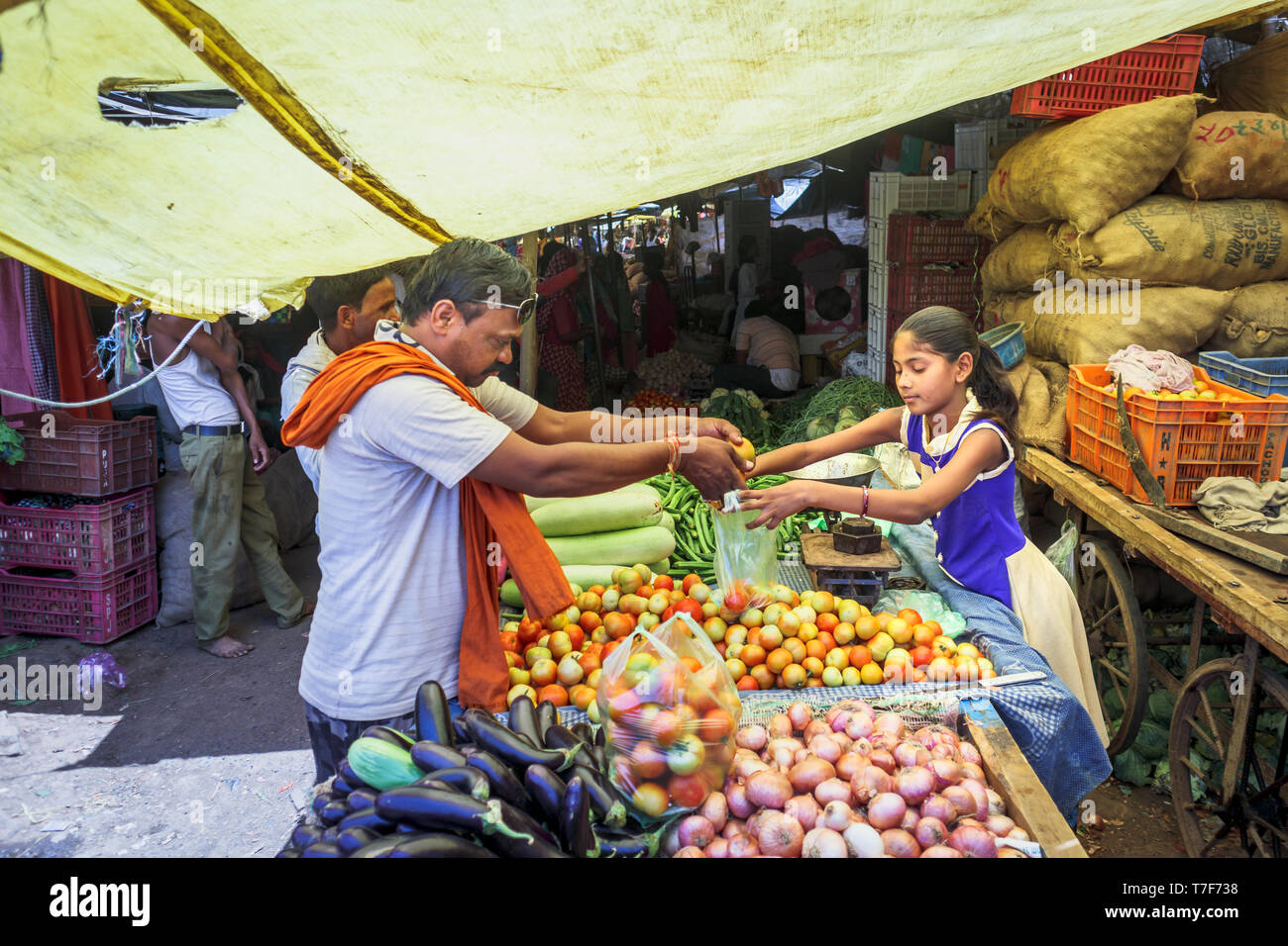 Junge Mädchen in einem lokalen Markt für Obst und Gemüse von einem in Shahpura, dindori Bezirk Abschaltdruck arbeiten, zentralindischen Staat Madhya Pradesh Stockfoto