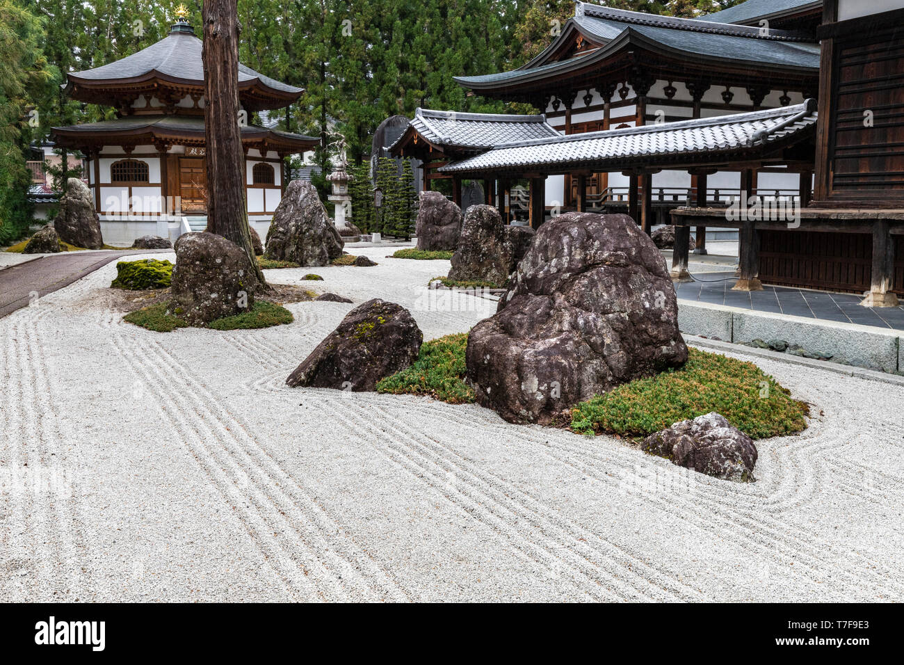 Jiunji Tempel Zen Garten - Jiunji Tempel ist mit einer Vielzahl von Wachstum gesegnet: Kiefer, kirschblüten sowie eine trockene Rock Garden und Moos, die highli Stockfoto