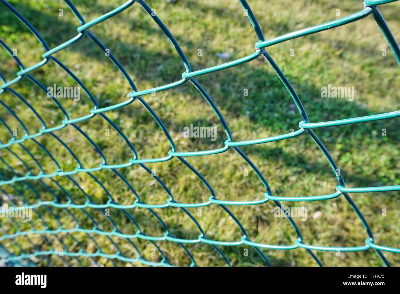 Grüner Draht Zaun am Fußballplatz Nähe zu sehen. Stockfoto