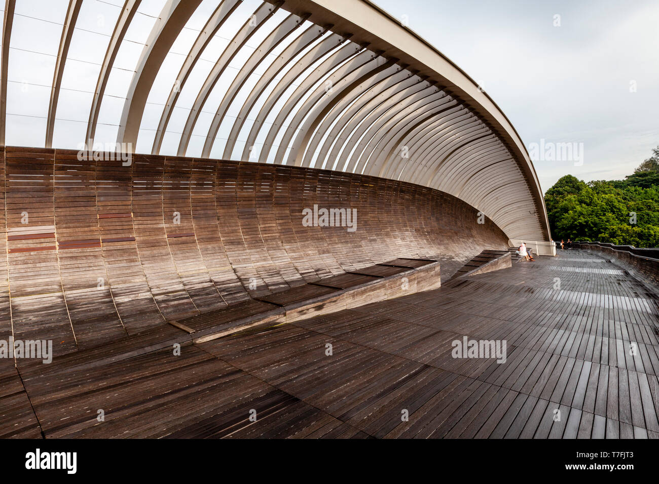 Die Henderson Waves Brücke, Singapur, Südostasien Stockfoto