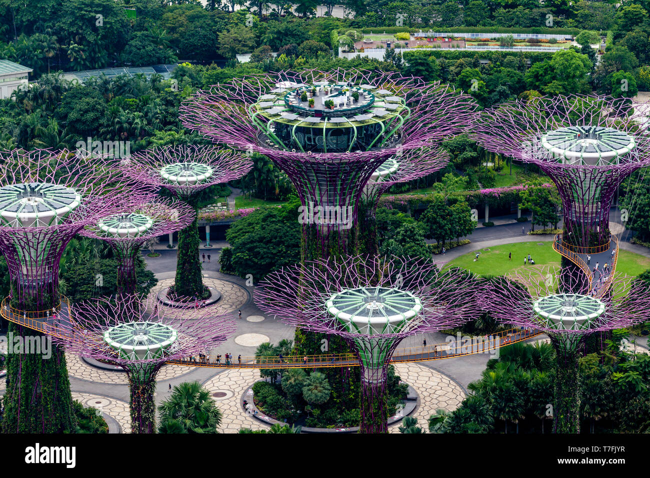 Supertree Grove An Den Garten An Der Bucht Natur Park Singapur