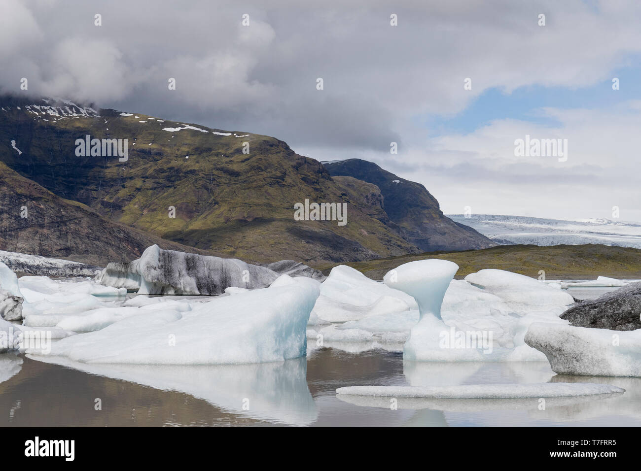 Fjallsárlón Lagune, schwimmende Eisberge in der Lagune mit Gletscher im Hintergrund Stockfoto
