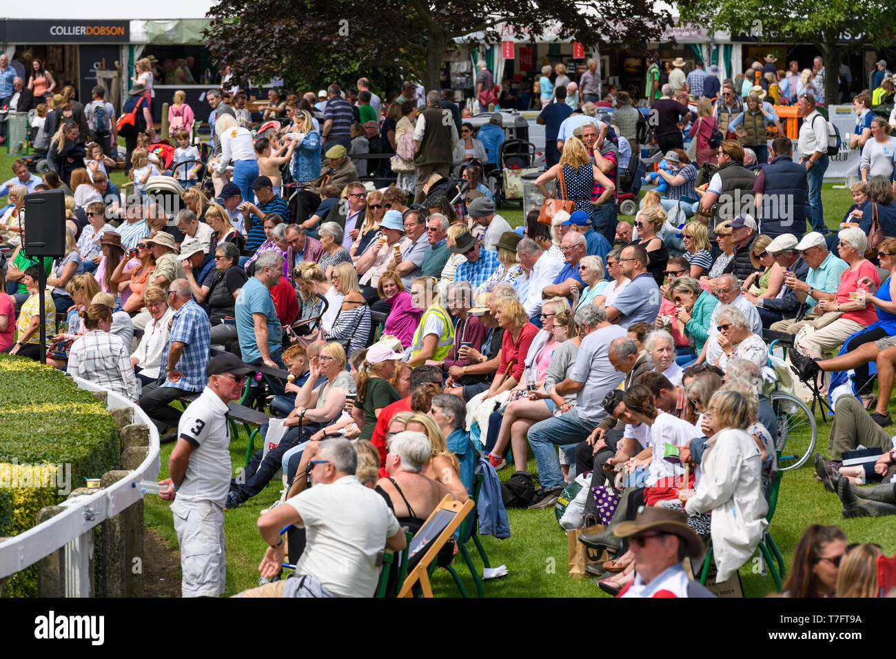 Viele Menschen zuschauen, um Main Arena versammelten sich entspannen, sitzen in der Sonne und beobachtete Ereignis - Tolle Yorkshire zeigen, Harrogate, England, UK. Stockfoto