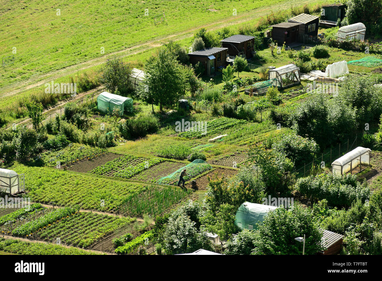 Gemeinsamer garten Fotos und Bildmaterial in hoher Auflösung Alamy