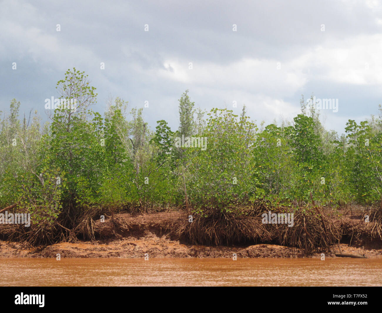 Ufer in der betsiboka River Delta, Madagaskar. Stockfoto