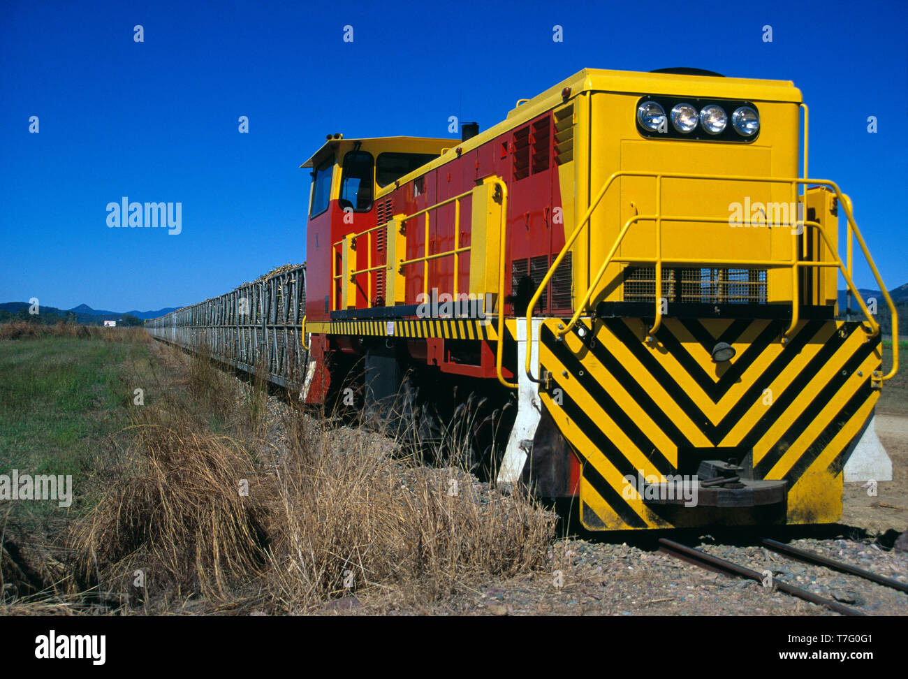 Australien. Queensland. Zuckerrohr Zug. Stockfoto