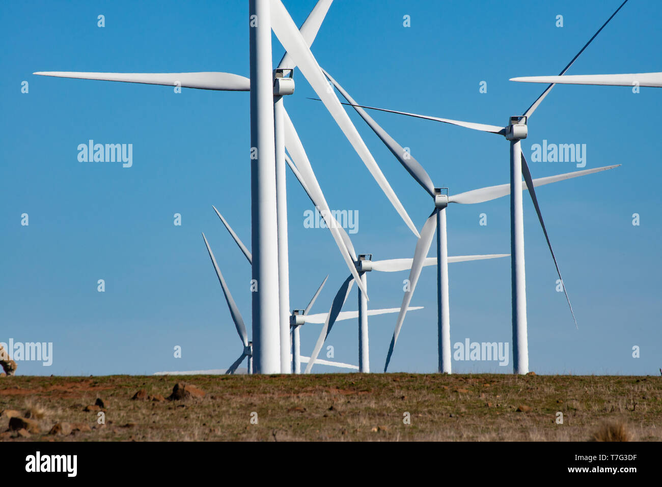 Windpark Stockfoto