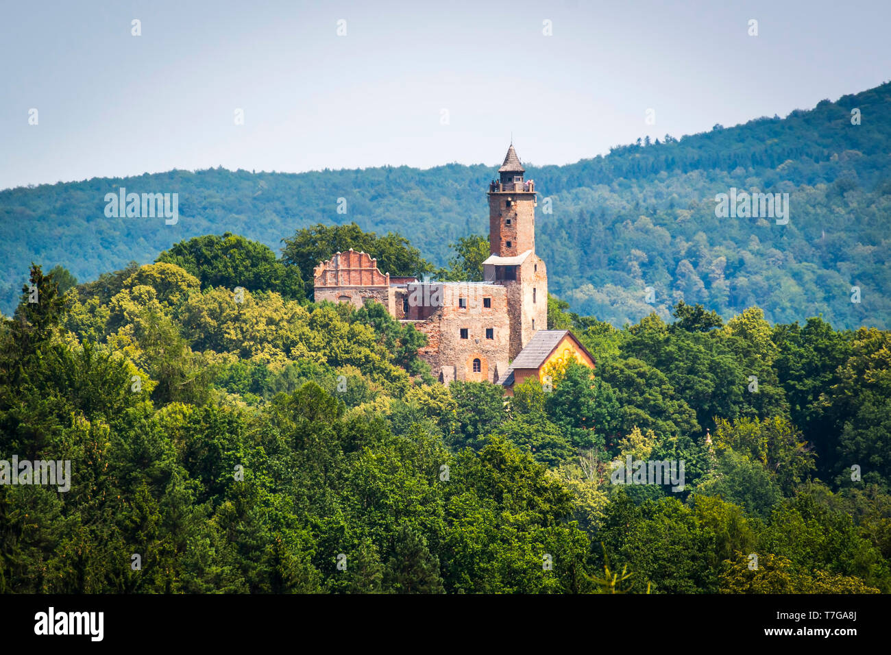 Grodno Schloss in Zagorze Slaskie Stockfoto