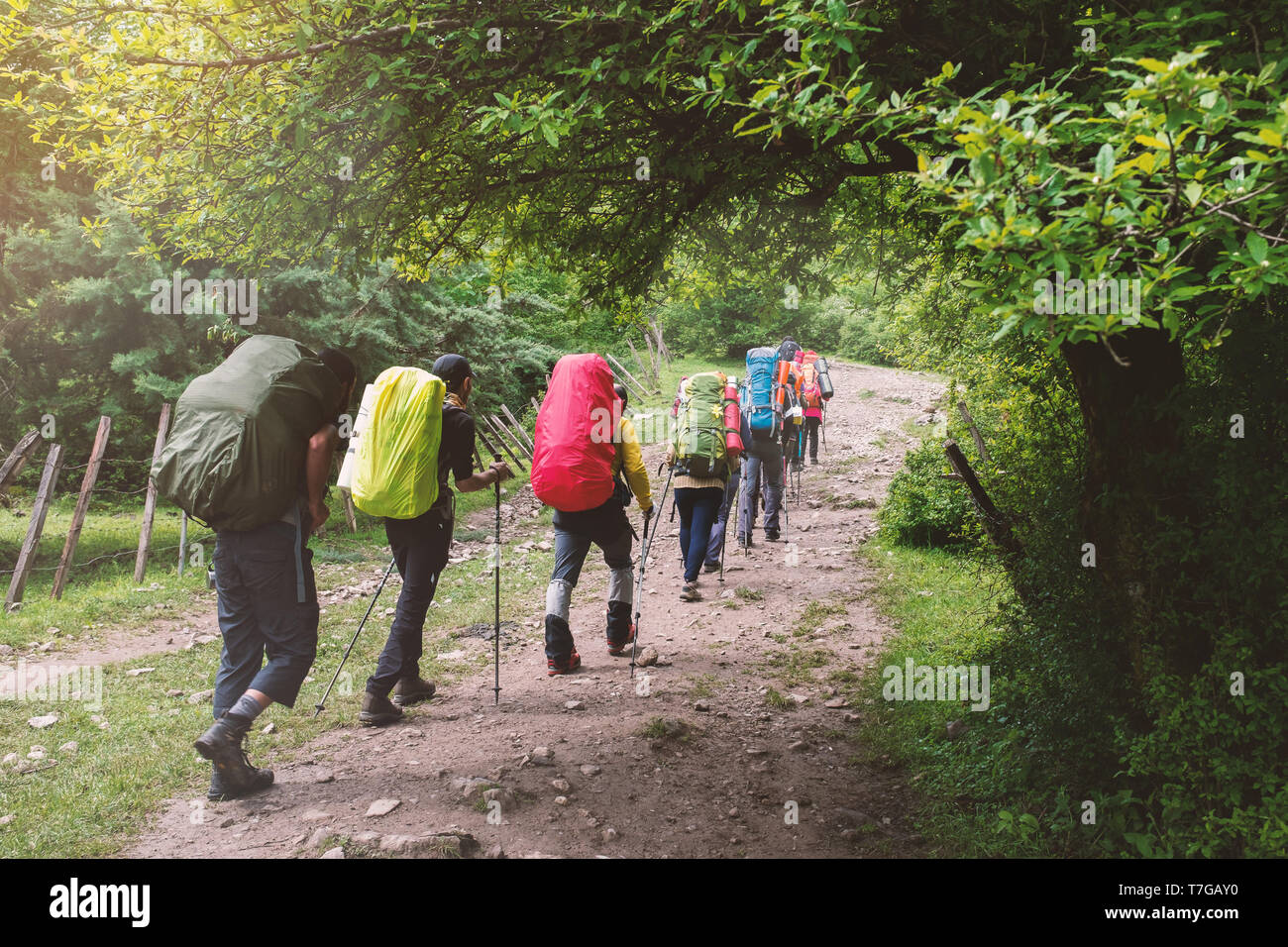 Eine Gruppe von der Wanderer ist Wandern in die bewaldeten Berge im Norden des Irans Stockfoto