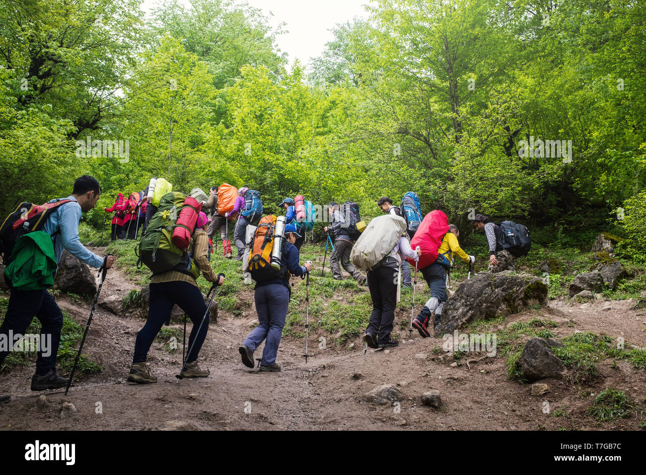 Provinz Gilan/Iran - 05182017: Eine Gruppe von Wanderern ist Wandern in den Dschungel. Stockfoto