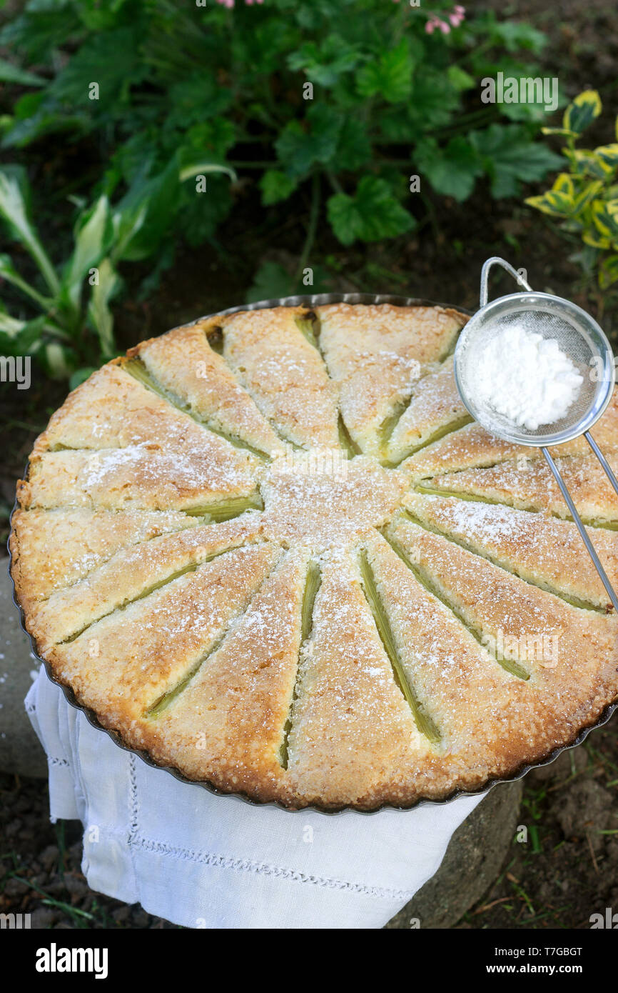 Eine große hausgemachte Kuchen mit Rhabarber Streifen in Zinn. Rustikaler Stil, selektiven Fokus. Stockfoto