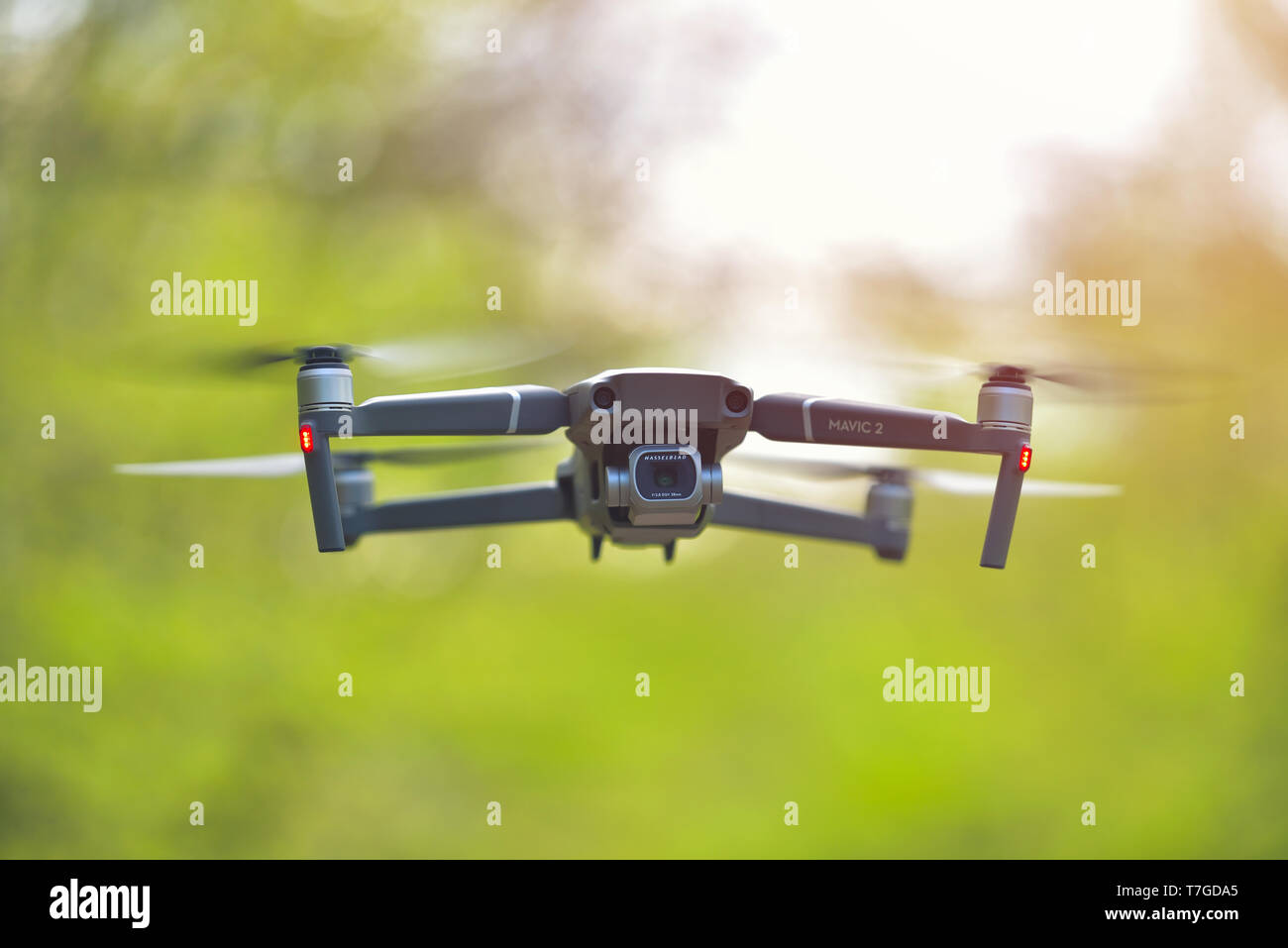 Galati, Rumänien - 20. April 2019: dji Mavic 2 Pro mit Hasselblad Kamera schwebt in einem forrest bei hellem Tageslicht Stockfoto