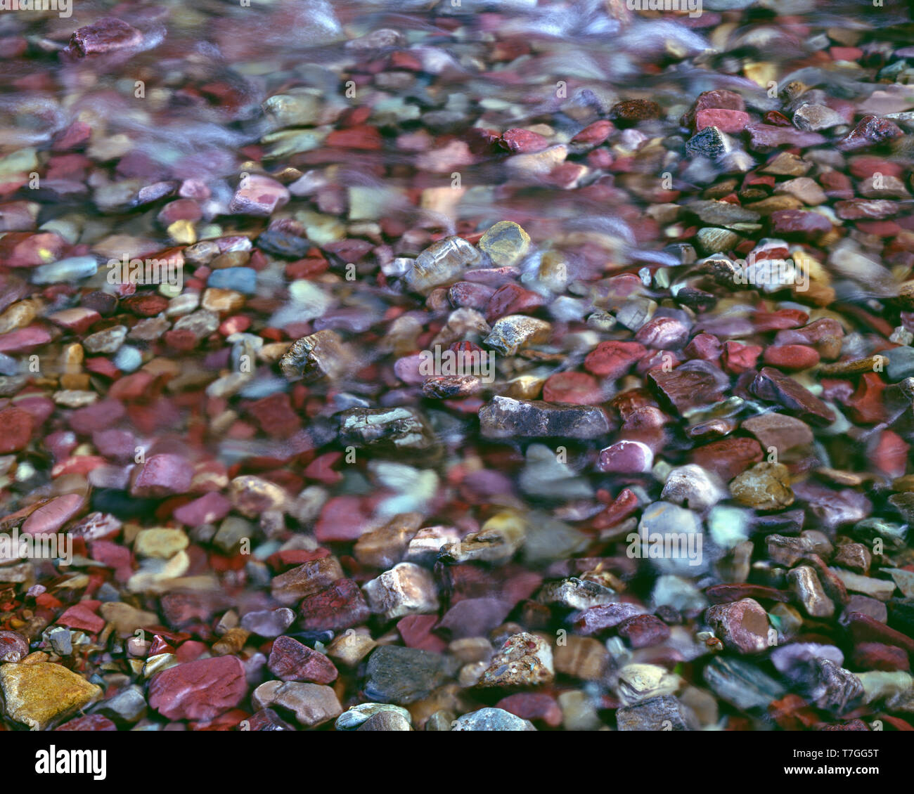 USA, Montana, Glacier National Park, abwechslungsreiche Felsen darunter rötliche Tonschiefer umfassen bunte Bachbett Swiftcurrent Creek. Stockfoto