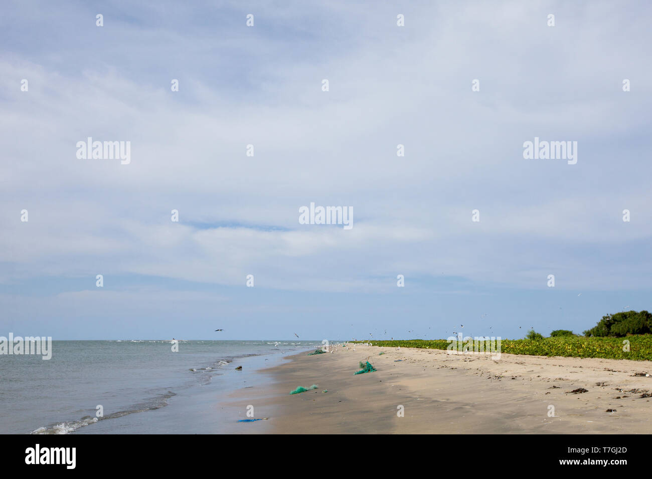 Der Atlantik Küste von Gambia Stockfoto