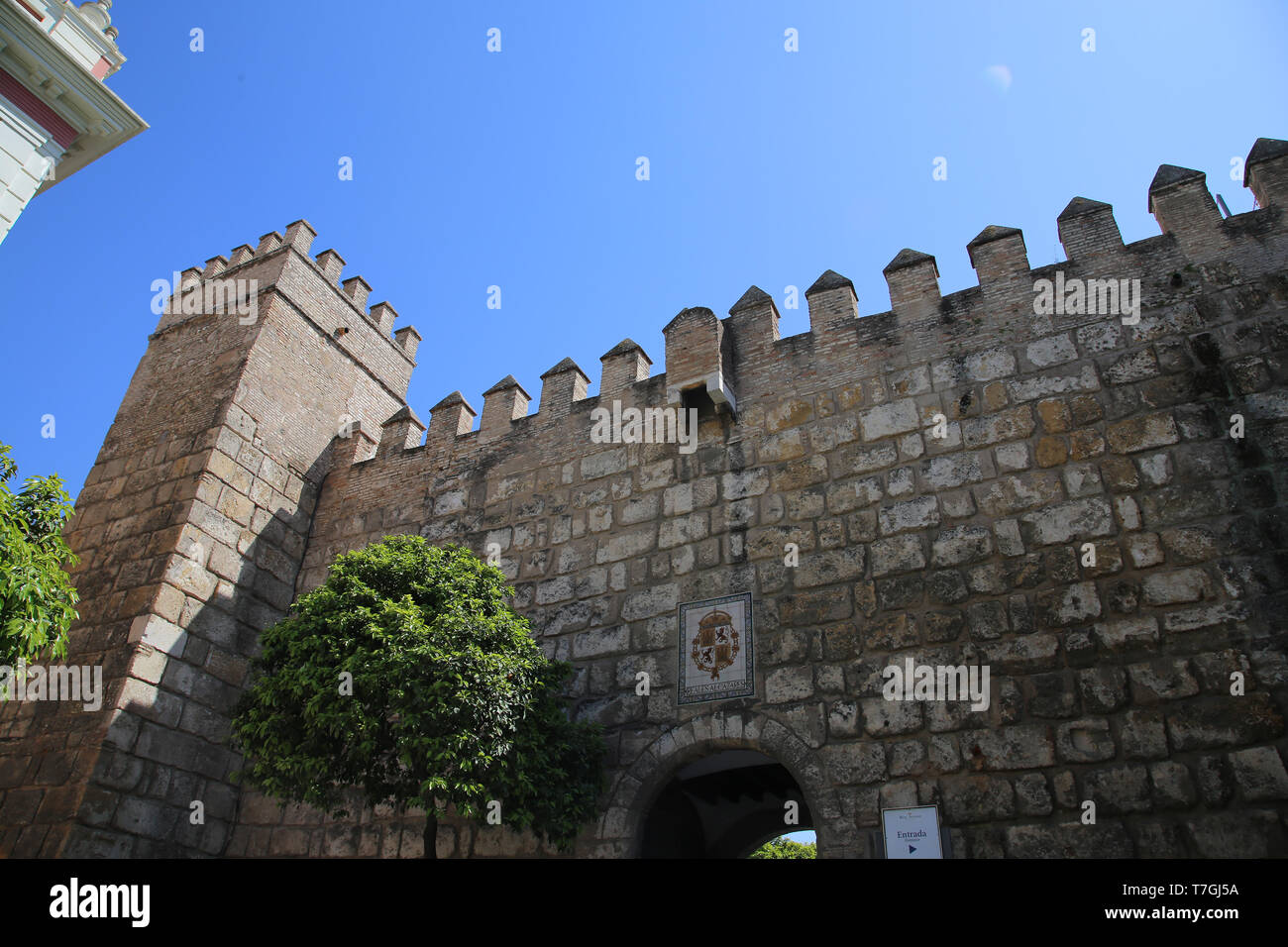 Spanien. Andalusien. Sevilla. Royal Alcazar - Wände. Almohaden. Stockfoto