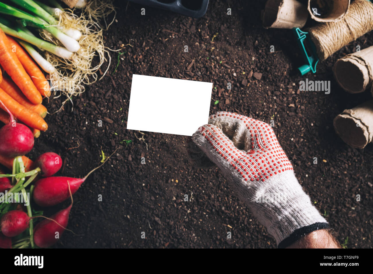 Business card Mock up für Organische homegrown Anbau produzieren, männliche Gärtner holding Karte über geerntet Gemüse- und Gartengeräte Stockfoto