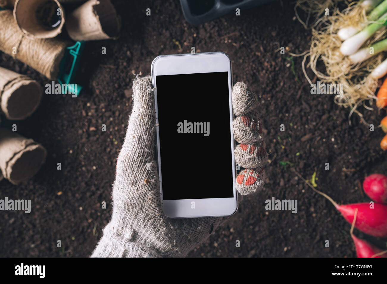Smartphone mock up für Organische homegrown Anbau produzieren, männliche Gärtner holding Mobiltelefon über geerntet Gemüse- und Gartengeräte Stockfoto