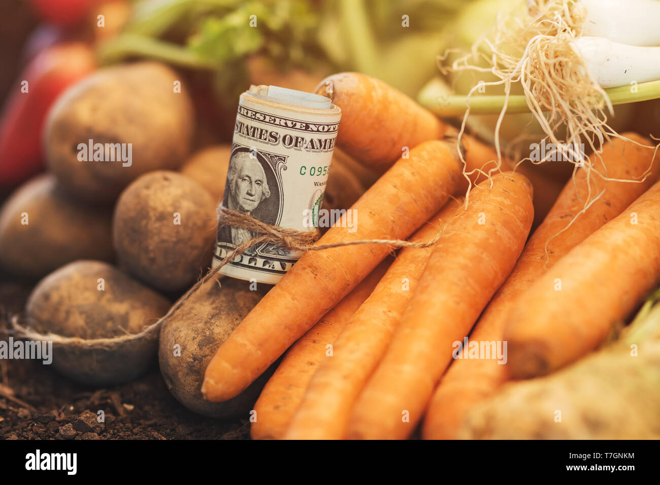 Gewinne aus dem ökologischen Landbau, Geld Roll on top der geernteten homegrown produzieren Stockfoto