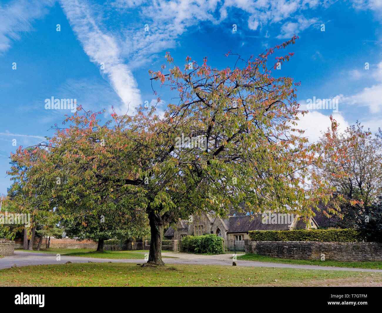 Kirche Grün, Fyfield, Oxfordshire Stockfoto