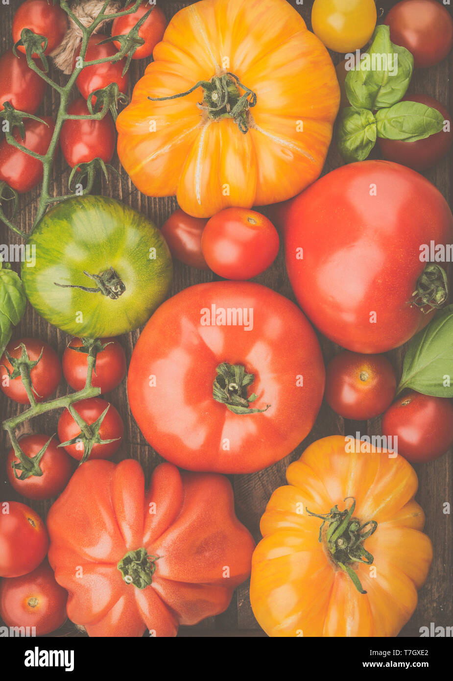 Auswahl an Bio große Erbstück und Cherry Tomaten Hintergrund, getönt, Ansicht von oben, selektiver Fokus Stockfoto